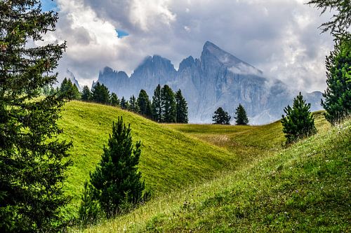 Seiser Alm / Alpe di Siusi, Italië - I
