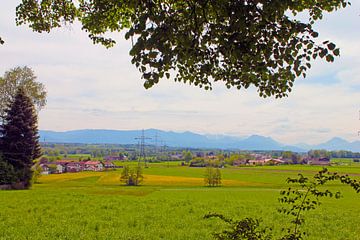 früh ling  in Bayern von M.A. Ziehr