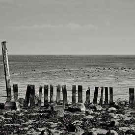 Wrakhout aan de zee van Eric van Nimwegen