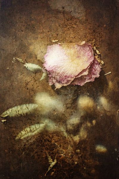 Country and Retro Collage: Abstract Flower in Vintage Colour Palette