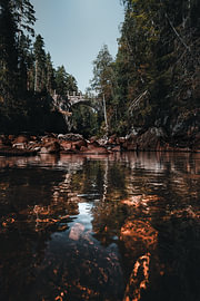 Nature suédoise - Tirage photo vertical centré représentant le pont en arc de pierre dans les forêts près de Brattfallet sur Dylan Winter Visuals