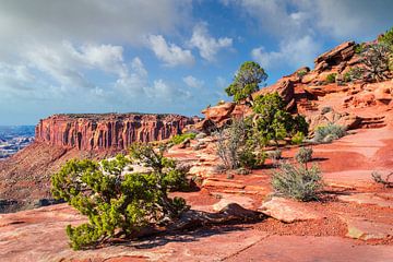 Impressive landscape of Canyonlands National Park, Utah by Rietje Bulthuis