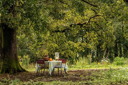 Französische ländliche Szene
