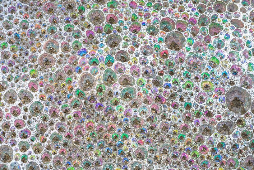 Cellicate van Michael Richardson