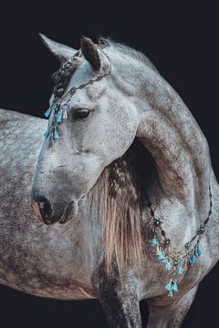 Fine art portrait horse jewellery blue by Shirley van Lieshout