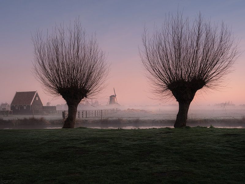 Holland von Patrick Noack