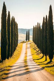 Allée des cyprès sur Poster Art Shop