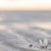 Licht en rust aan het wad van MdeJong Fotografie