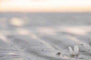 Licht und Frieden auf dem Wattenmeer von MdeJong Fotografie