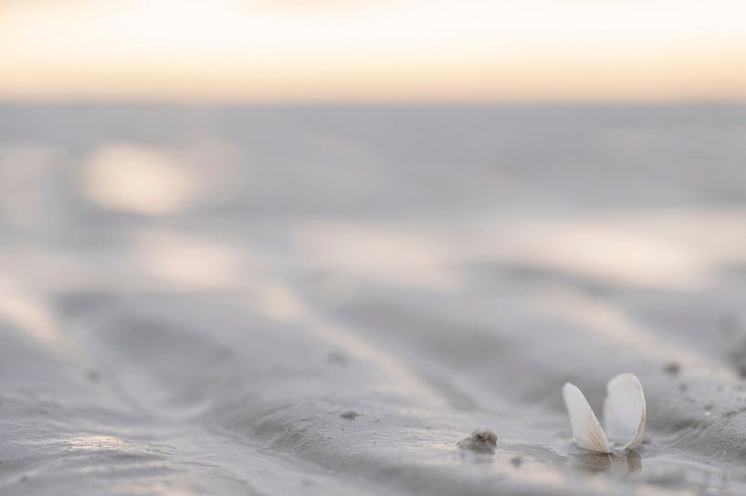 Light and peace on the wadden area by MdeJong Fotografie