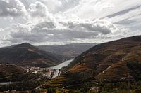 Douro-Tal