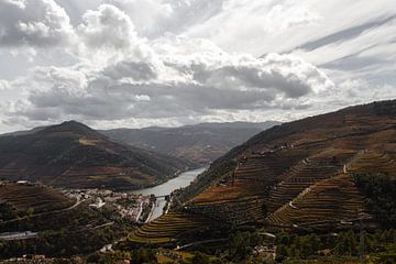 Douro-vallei van Evald Smilskaln