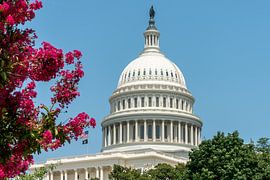 Het Capitool in Washington van Studio Retouched fotoshop