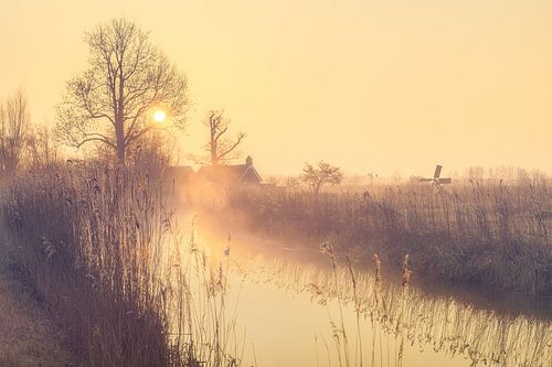 Gouden ochtendstond in Nationaal Park Weerribben-Wieden van Fotografiecor .nl