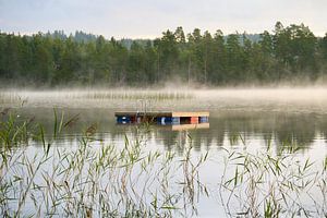 Schwimminsel in einem schwedischen See