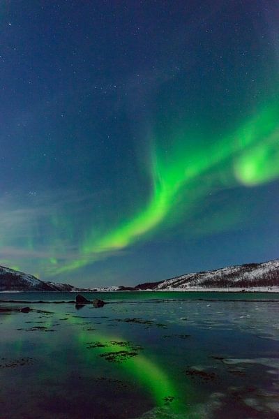 Noorderlicht of poollicht boven Senja in Noord Noorwegen van Sjoerd van der Wal Fotografie