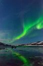 Noorderlicht of poollicht boven Senja in Noord Noorwegen van Sjoerd van der Wal Fotografie thumbnail