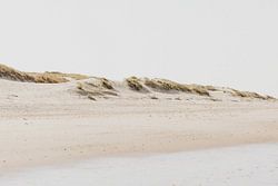 Zonnige duinen