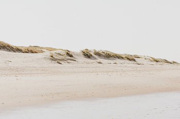 Sunny dunes