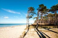 Baltic sea by Reiner Würz / RWFotoArt thumbnail