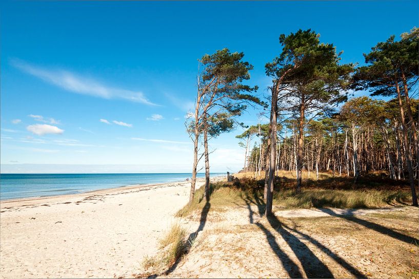 Mer Baltique - Plage ouest sur le Darß par Reiner Würz / RWFotoArt