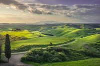 Ländliche Landschaft in Volterra. Toskana, Italien