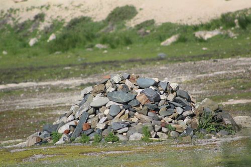 Stenen, Nelson Mandela