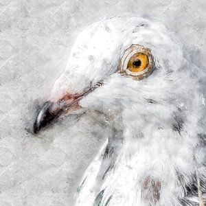 Porträt einer weiß getupften Taube (Kunst)