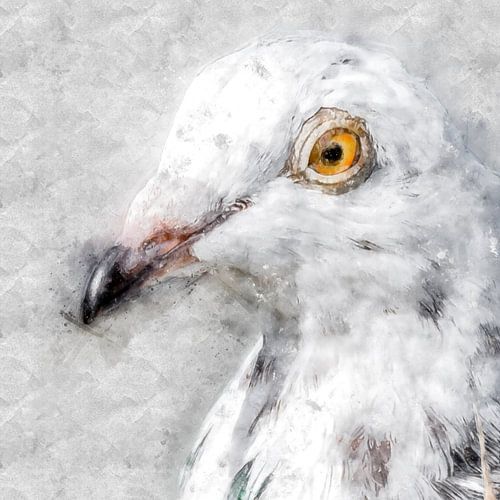 Portrait of a white spotted pigeon (art)