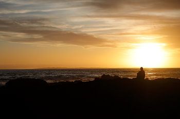 Robben Island - un lieu chargé d'histoire