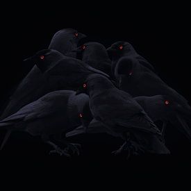 Dark Times by Will Scholten