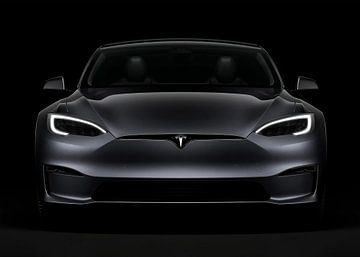 Tesla Model S 2020 Auto van Steven Kingsbury