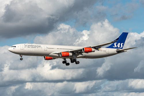 Ein Airbus A340-300 der SAS Scandinavian Airlines kurz vor der Landung in Københavns Lufthavne Kastr
