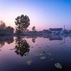Boerderij bij zonsopkomst in Sint-Omaars van Sam Mannaerts