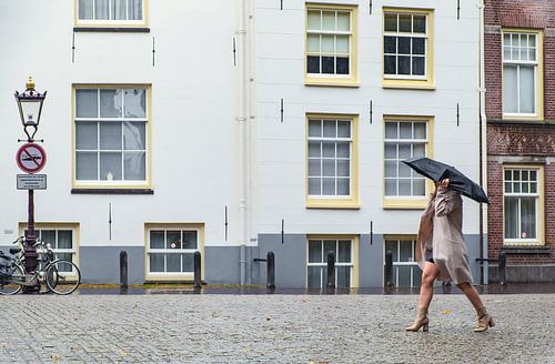 LOST IN AMSTERDAM (2019-333)