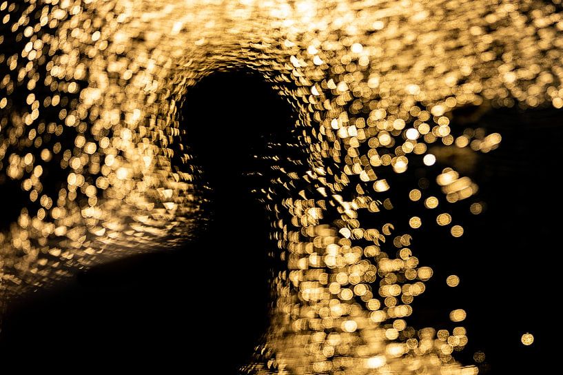 Fou de Bassan pailleté par Pauline Rote