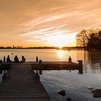Kralingse Bos & Kralingse Plas