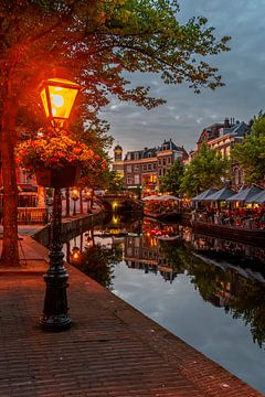 Zomerse avond langs de nieuwe Rijn in Leiden (0205) van Reezyard