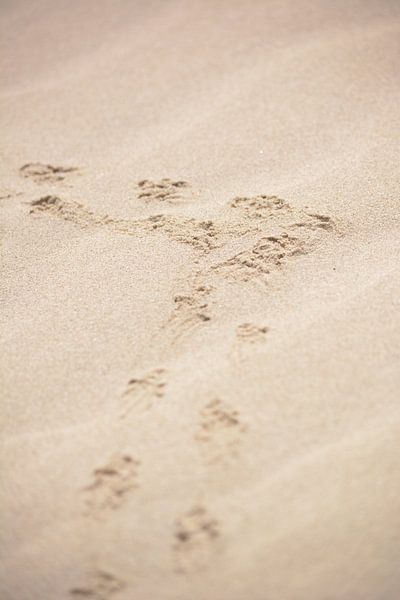 Tracking-Finder von Michael van Eijk