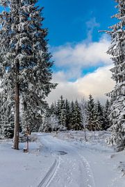 Erste Winterwanderung auf dem Rennsteig von Oliver Hlavaty