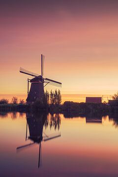 Soft morning light in Kinderdijk