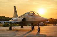 Koninklijke Luchtmacht Northrop NF-5B Freedom Fighter. van Jaap van den Berg thumbnail