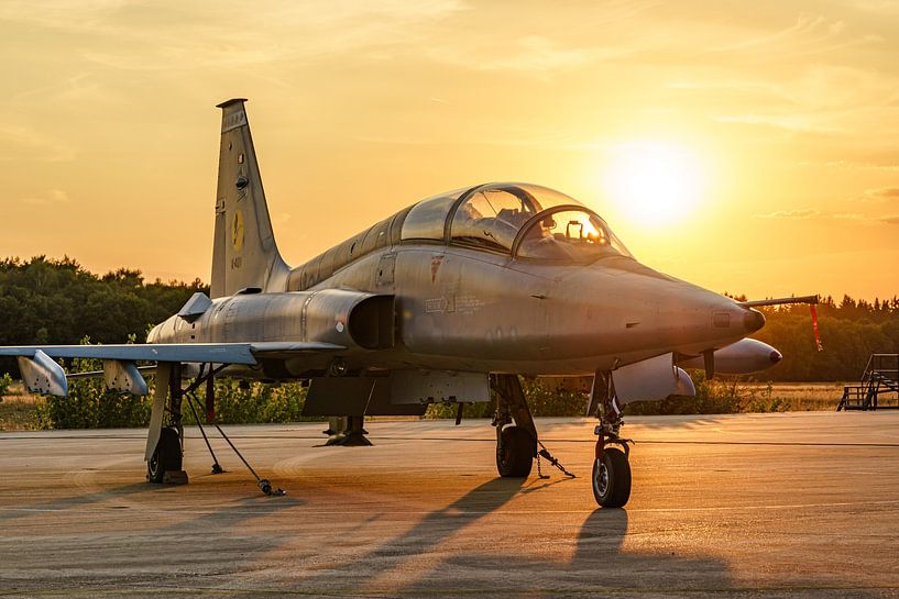 Koninklijke Luchtmacht Northrop NF-5B Freedom Fighter. van Jaap van den Berg