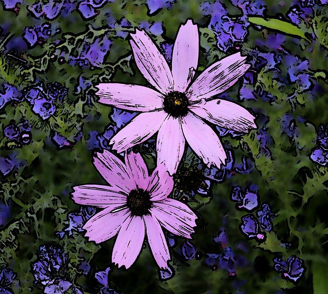 Zinnia digitally edited by Jose Lok