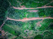 Scenic Mountain Road at Sunset – A Journey into Nature by Madan Raj Rajagopal thumbnail