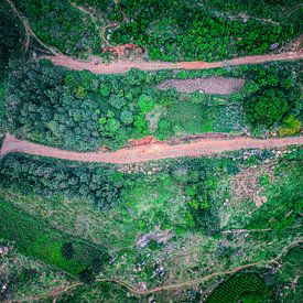 Scenic Mountain Road at Sunset – A Journey into Nature by Madan Raj Rajagopal