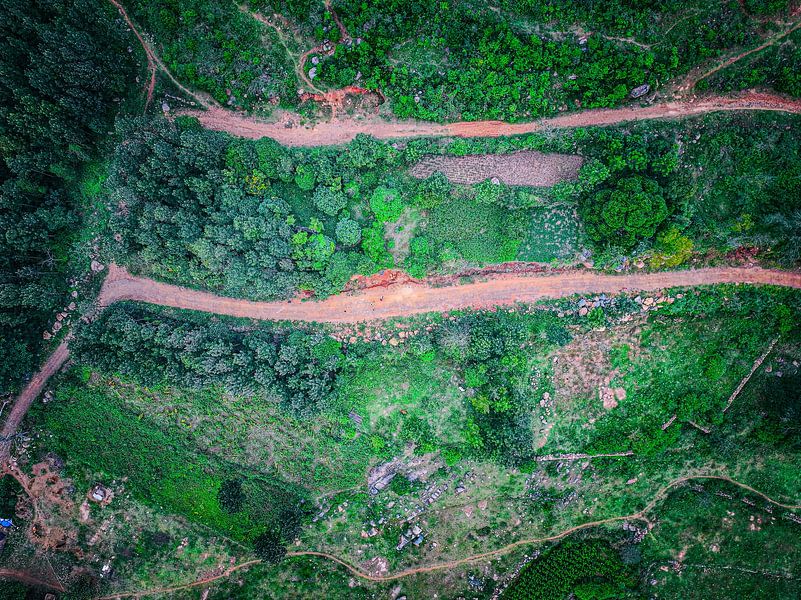 Scenic Mountain Road at Sunset – A Journey into Nature by Madan Raj Rajagopal