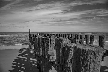 zeeland coast with groynes in black and white by anne droogsma