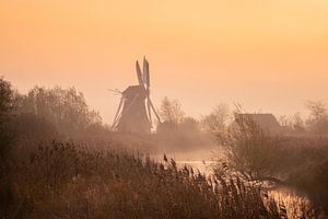 Mühle im Nebel mit Schilf und Wasser