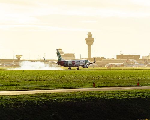 PeterPan Transavia Ankunft in Schiphol